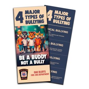 Four major types of bullying
